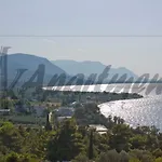 M K 3* Arkítsa